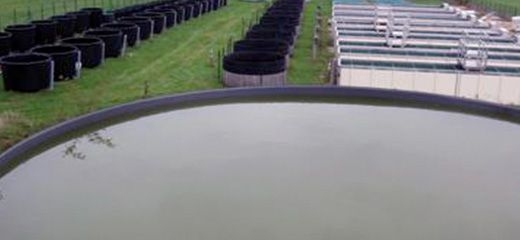 Ecoscope