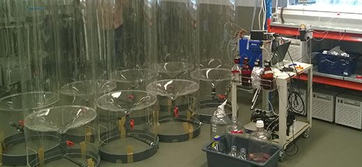 Ecoscope